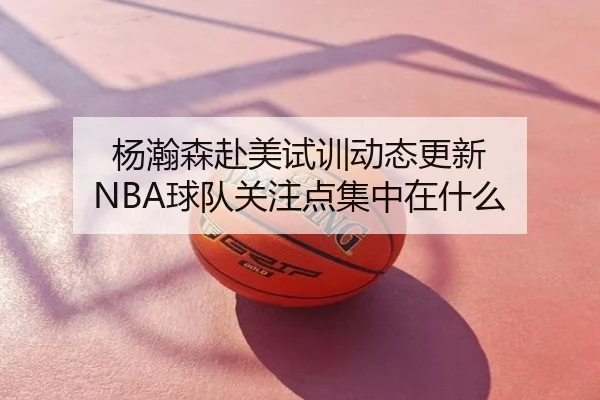 杨瀚森赴美试训动态更新 NBA球队关注点集中在什么